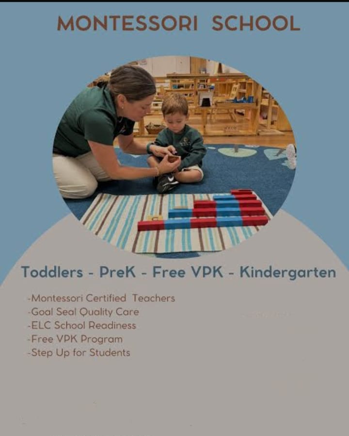 Montessori Course – Senior